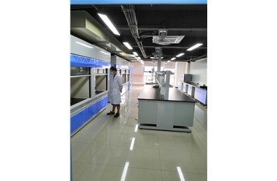 超長壽命聚天門冬氨酸酯聚脲 （天冬聚脲）重防腐涂料的研制